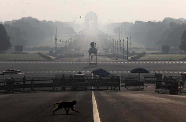 قرد يعبر الطريق بالقرب من قصر الرئاسة الهندي في نيودلهي بصورة من أرشيف رويترز.